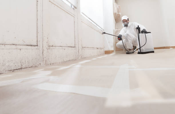 24/7 Emergency Mold Testing experts in Clayton, NC