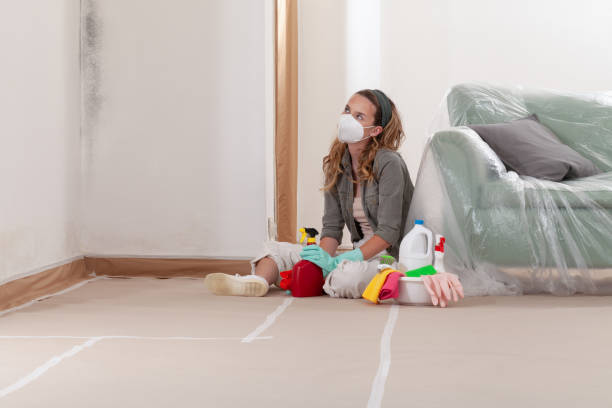 Reliable Mold Cleanup contractor in Clayton, NC by Cheap Mold Removal